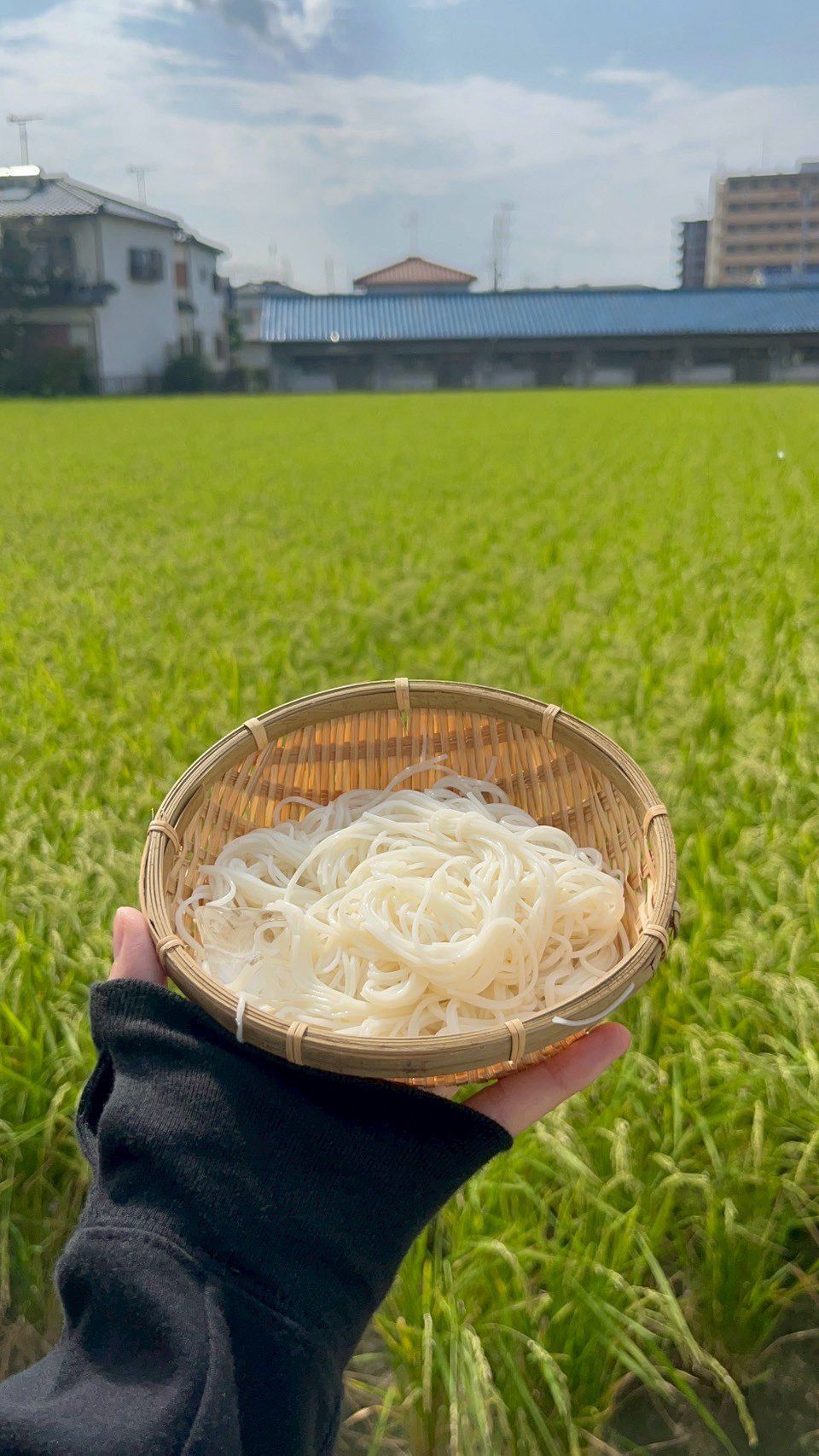Nagoshi Somen (流しそうめん)